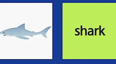 14 Bộ thẻ Flashcards - Giúp bé học tiếng anh hiệu quả